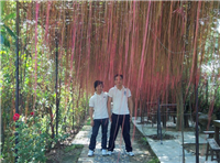 2011年優秀員工新豐云天海溫泉兩日游